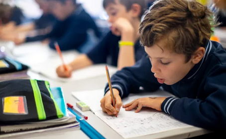 Public Schools and Colleges